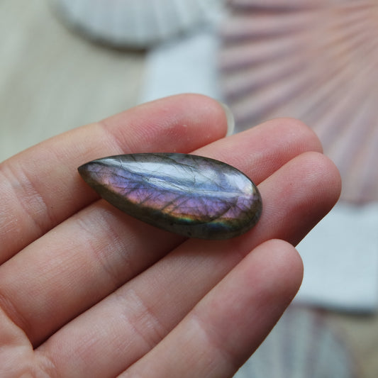 Lila Labradorit Cabochon ~ 12XR