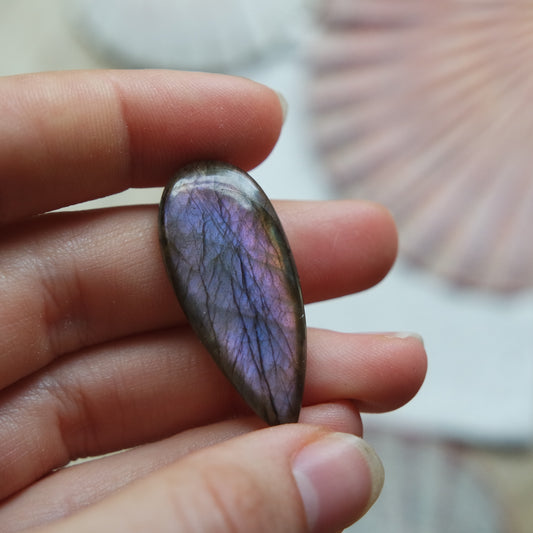 Lila Labradorit Cabochon ~ 12XR