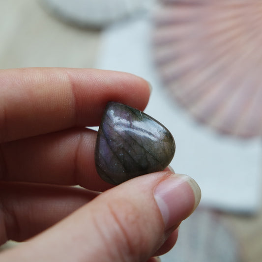 Lila Labradorit Cabochon ~ 12XS