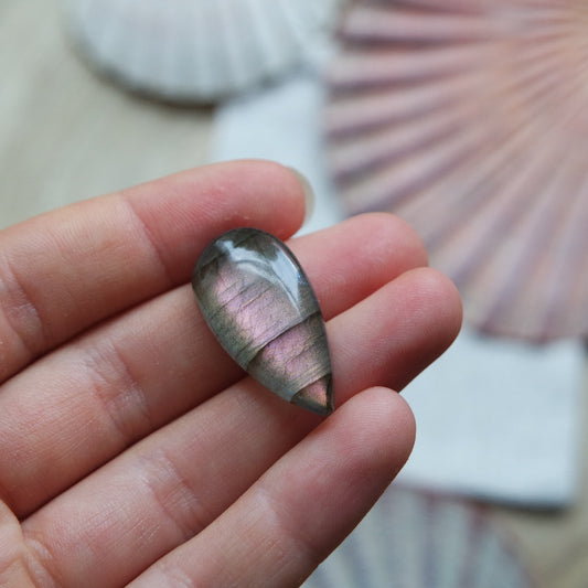 Lila Labradorit Cabochon ~ 12XT