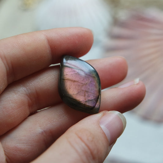 Lila Labradorit Cabochon ~ 12XU