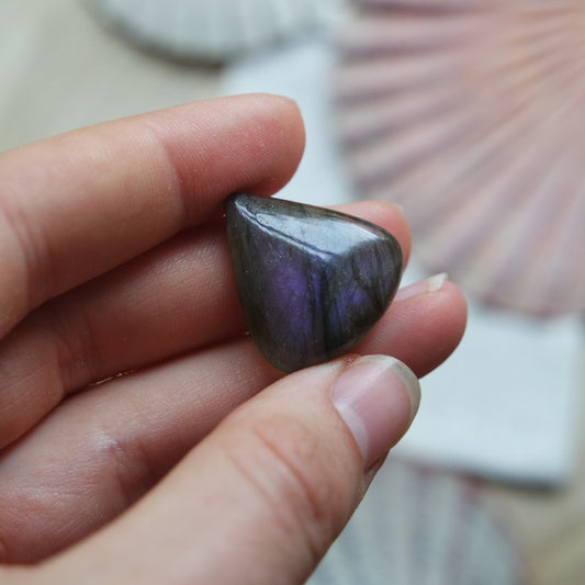 Lila Labradorit Cabochon ~ 12XV