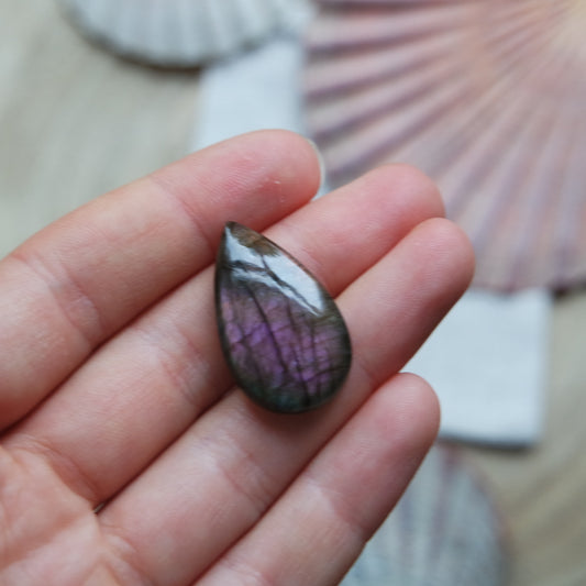 Lila Labradorit Cabochon ~ 12XX
