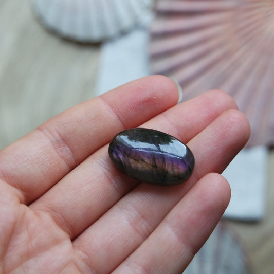 Lila Labradorit Cabochon ~ 12XZ