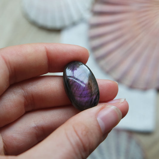 Lila Labradorit Cabochon ~ 12XZ