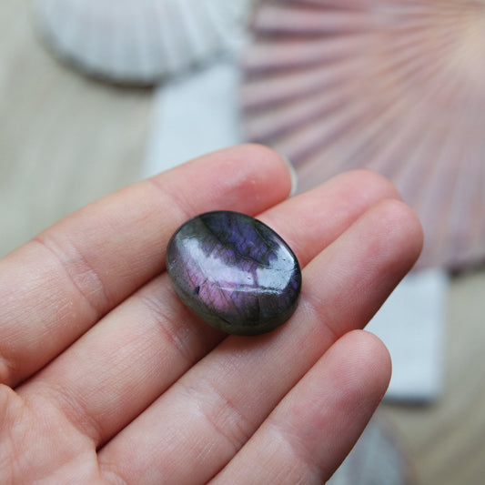 Lila Labradorit Cabochon ~ 12YC