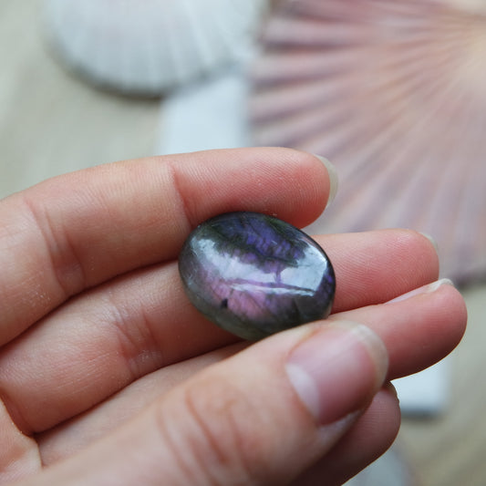 Lila Labradorit Cabochon ~ 12YC