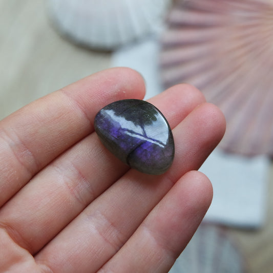 Lila Labradorit Cabochon ~ 12YE