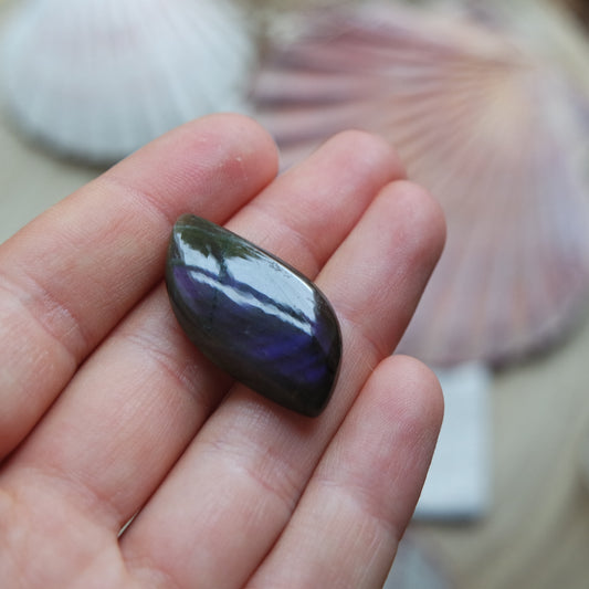 Lila Labradorit Cabochon ~ 12YF