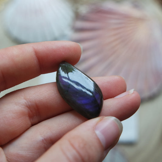 Lila Labradorit Cabochon ~ 12YF