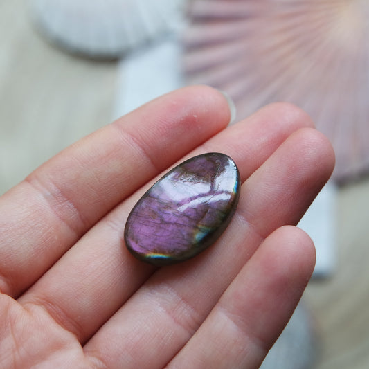 Lila Labradorit Cabochon ~ 12YG