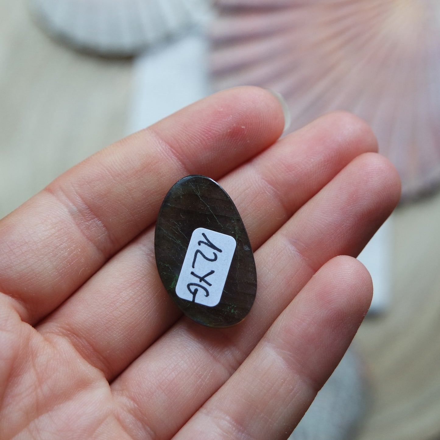Lila Labradorit Cabochon ~ 12YG