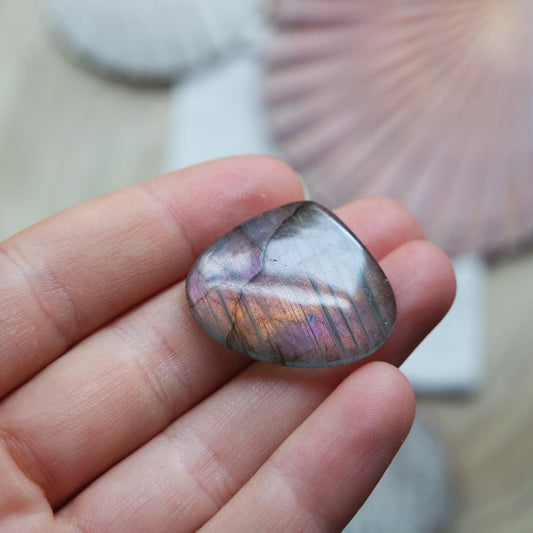 Lila Labradorit Cabochon ~ 12Yi