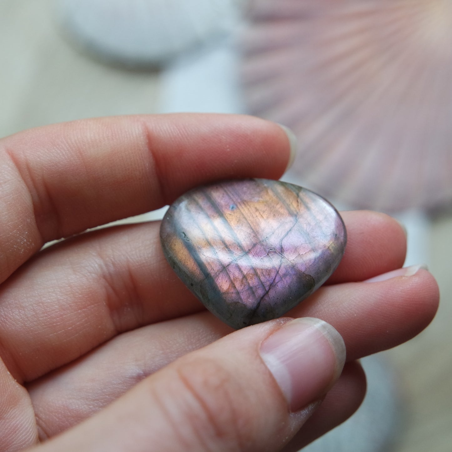Lila Labradorit Cabochon ~ 12Yi