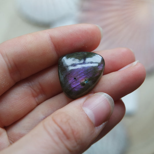 Lila Labradorit Cabochon ~ 12YK