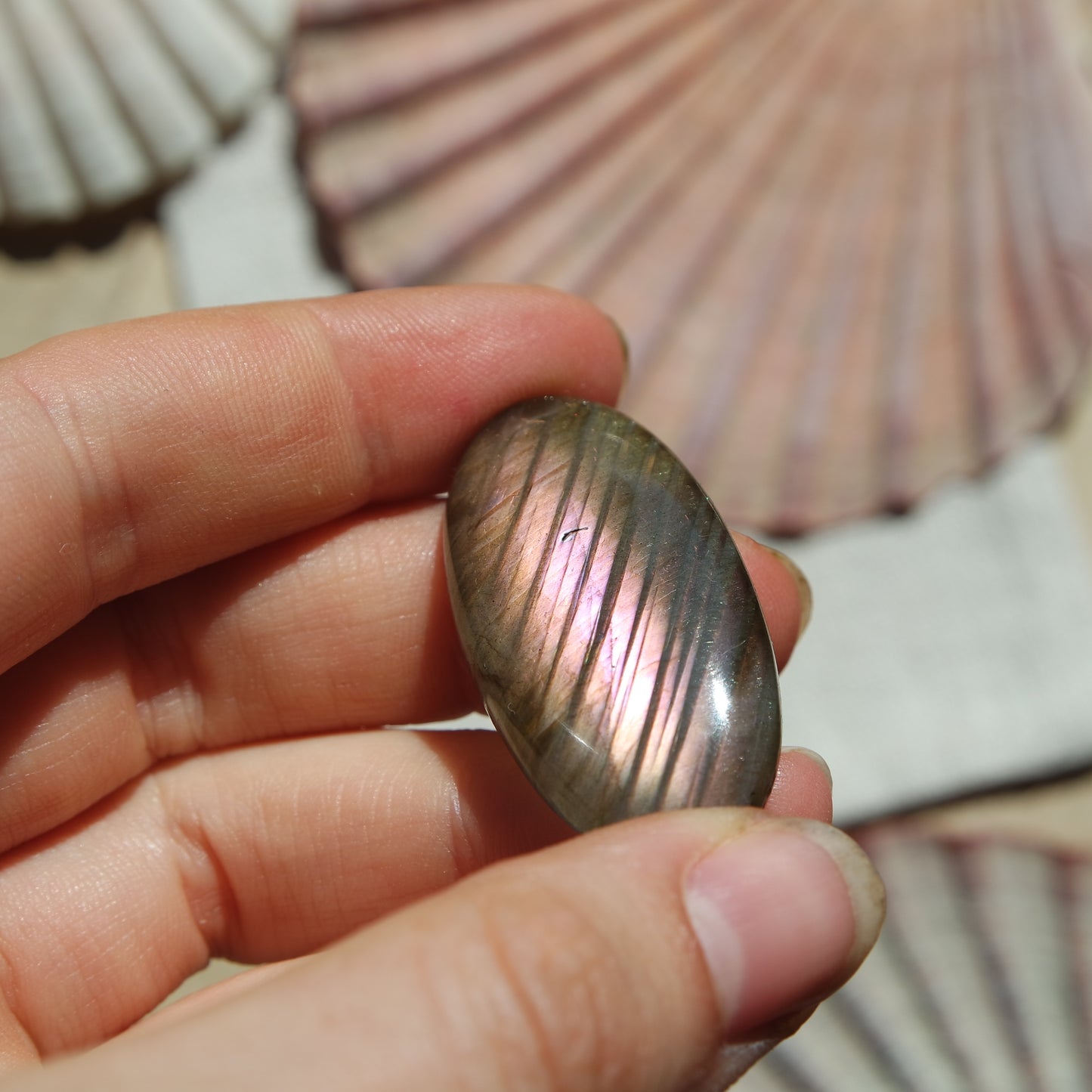 Lila Labradorit Cabochon ~ 24XJ