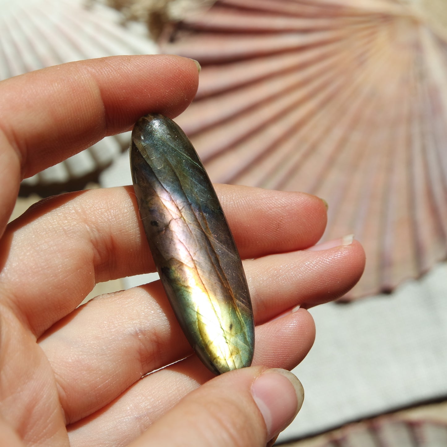 Lila Labradorit Cabochon ~ 24XN