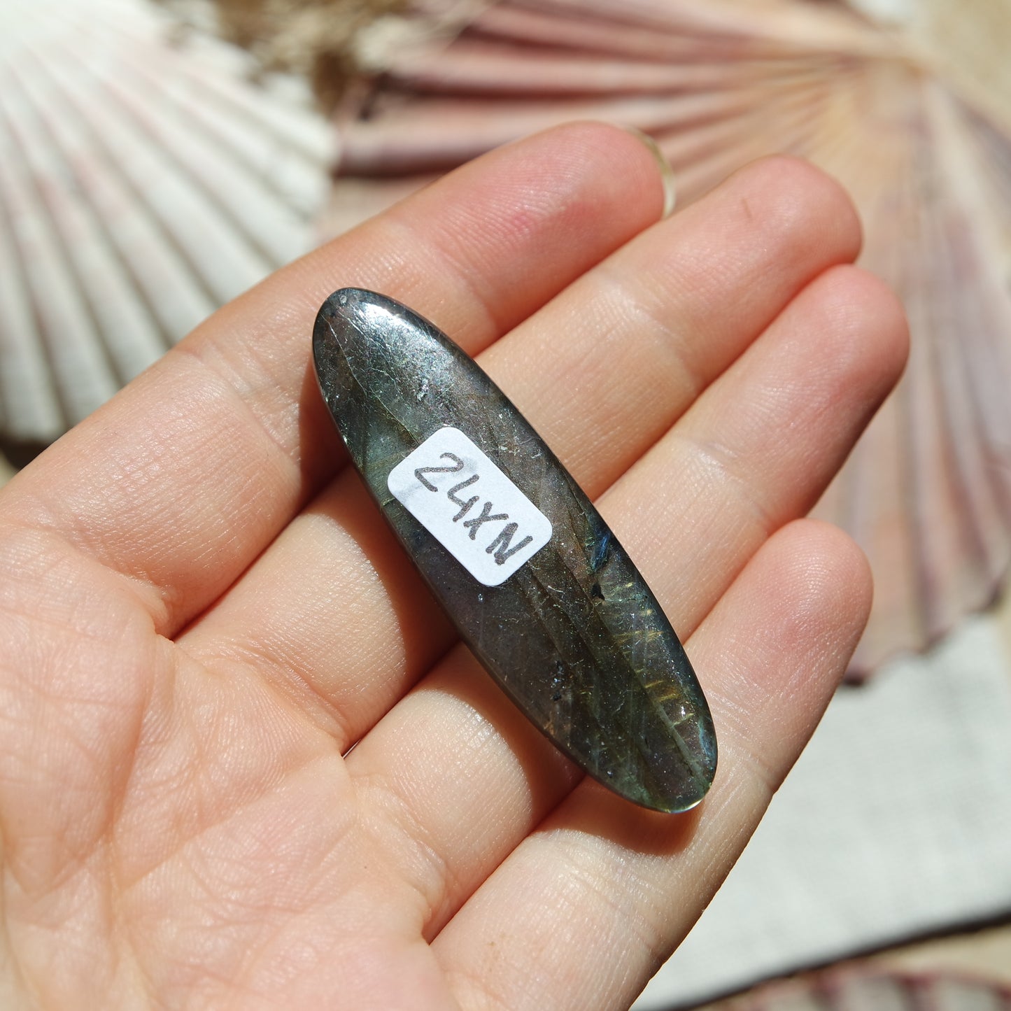 Lila Labradorit Cabochon ~ 24XN