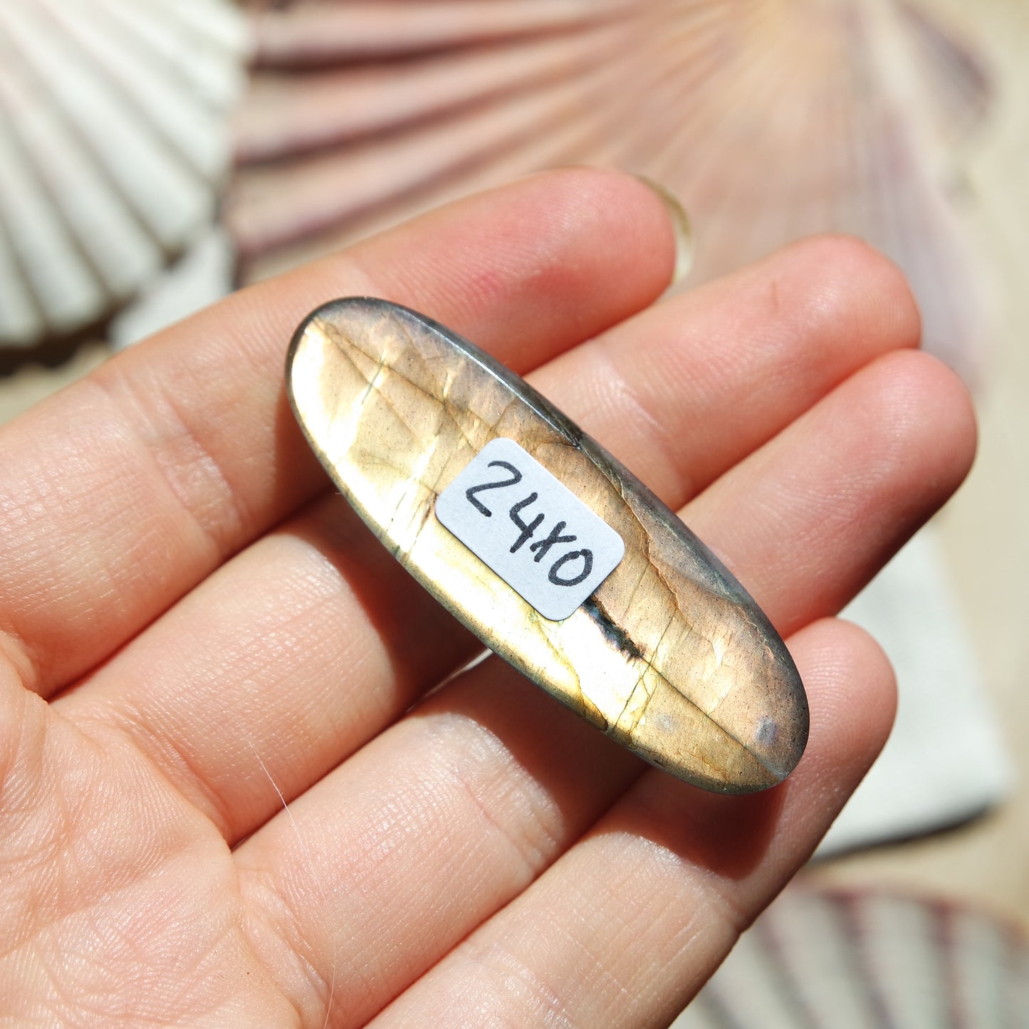 Lila Labradorit Cabochon ~ 24XO