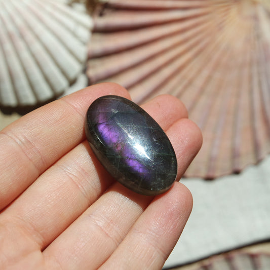 Lila Labradorit Cabochon ~ 26YA