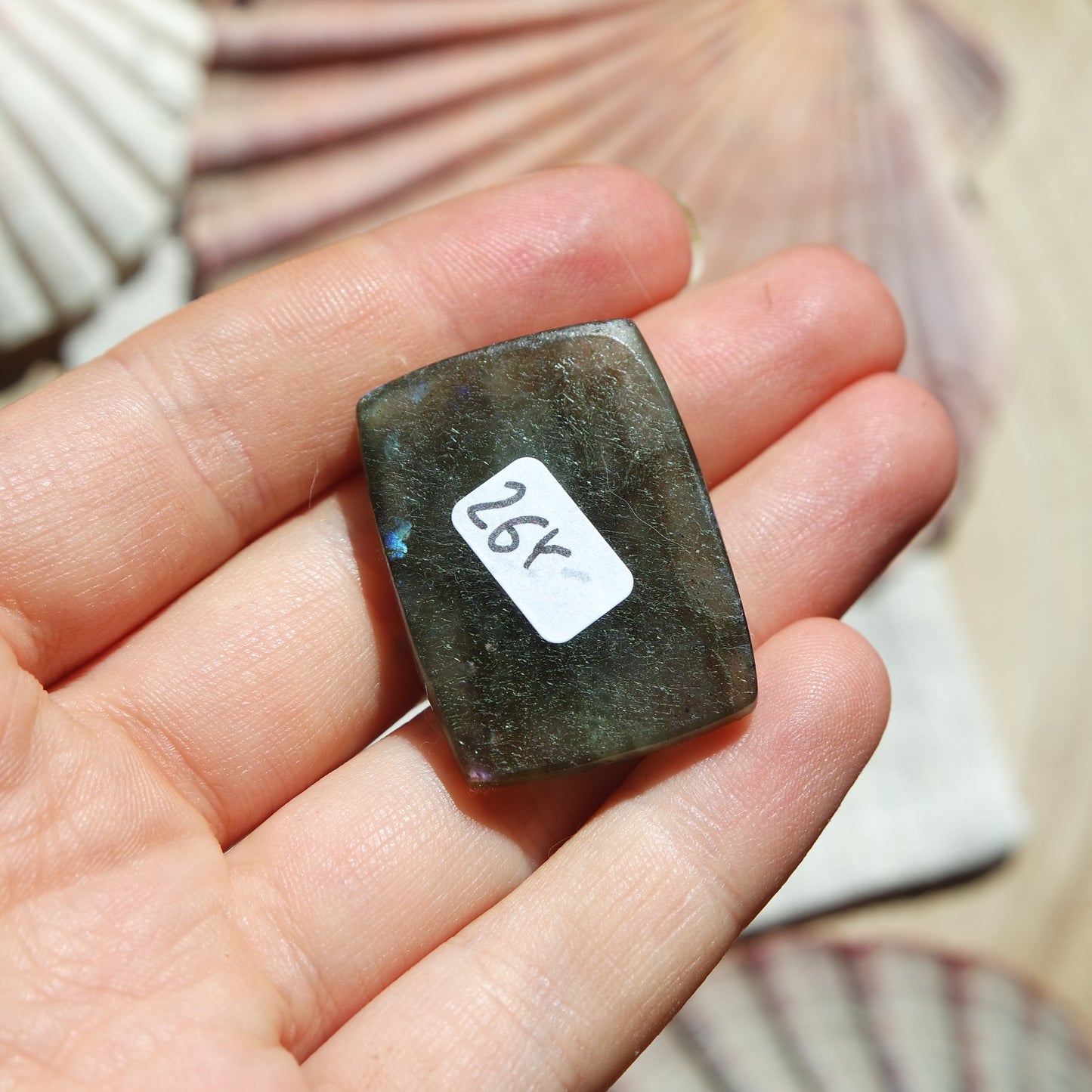 Lila Labradorit Cabochon ~ 26Y