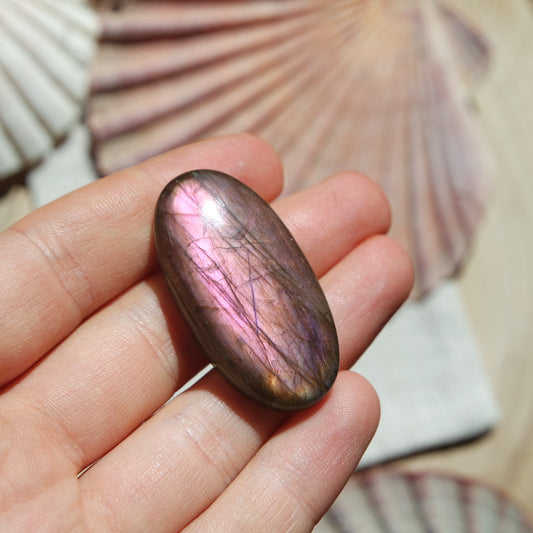 Lila Labradorit Cabochon ~ 26YC