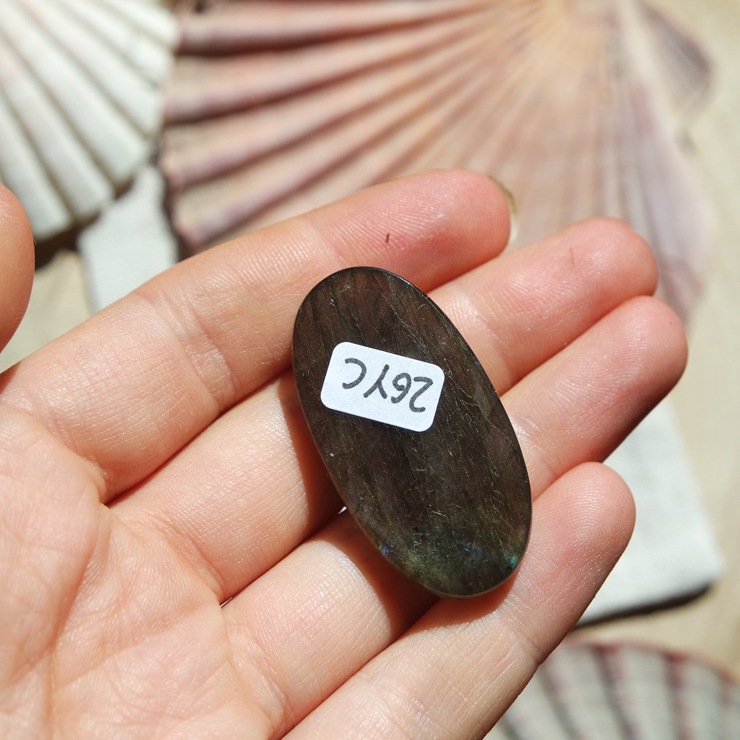 Lila Labradorit Cabochon ~ 26YC