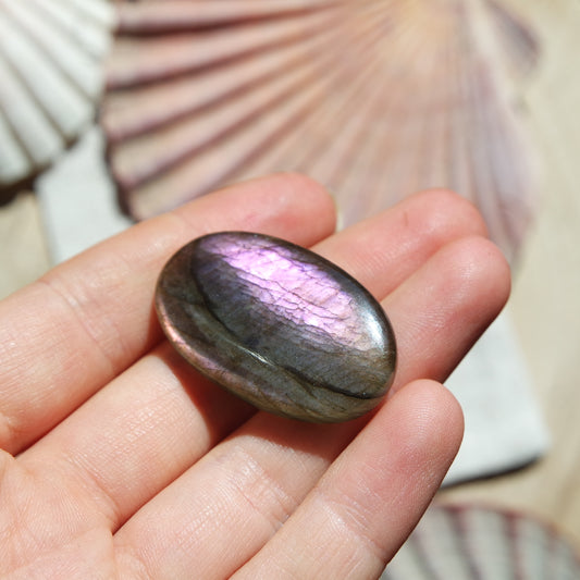 Lila Labradorit Cabochon ~ 26YD