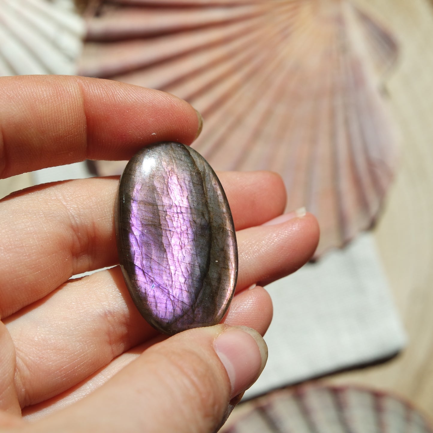 Lila Labradorit Cabochon ~ 26YD