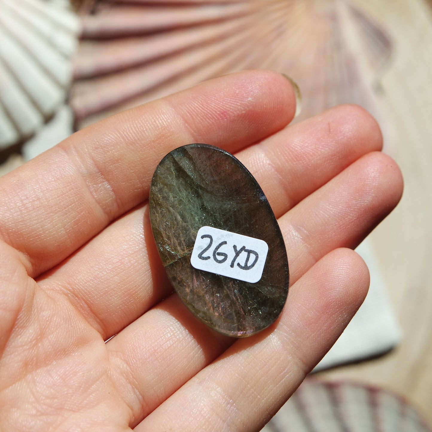 Lila Labradorit Cabochon ~ 26YD