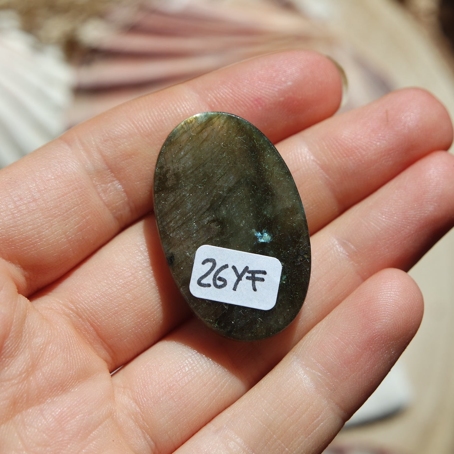 Lila Labradorit Cabochon ~ 26YF