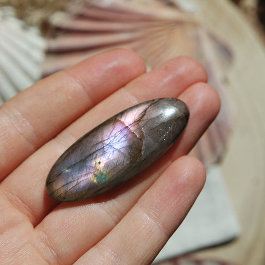 Lila Labradorit Cabochon ~ 26YG