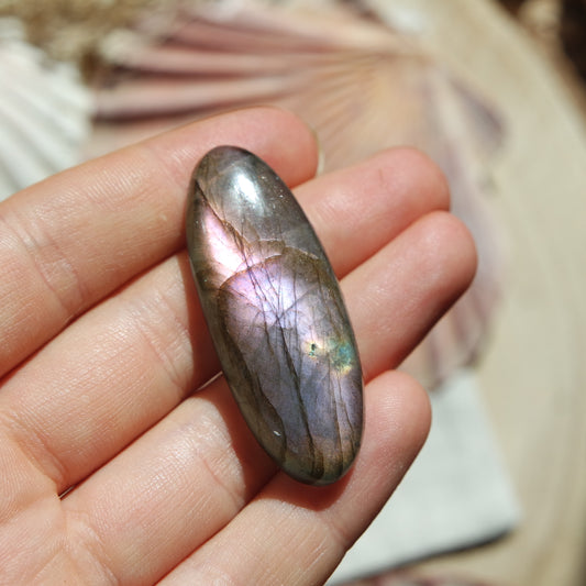 Lila Labradorit Cabochon ~ 26YG