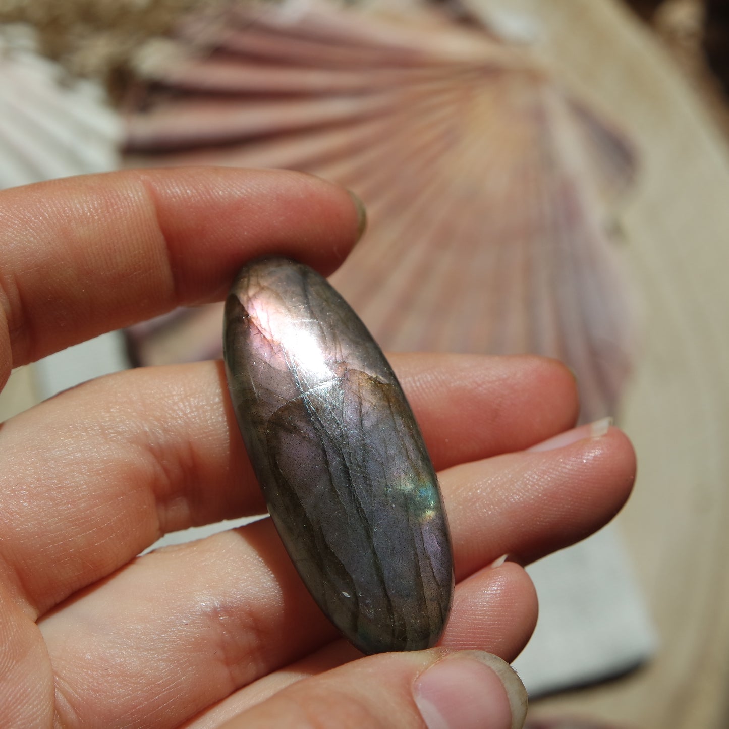Lila Labradorit Cabochon ~ 26YG