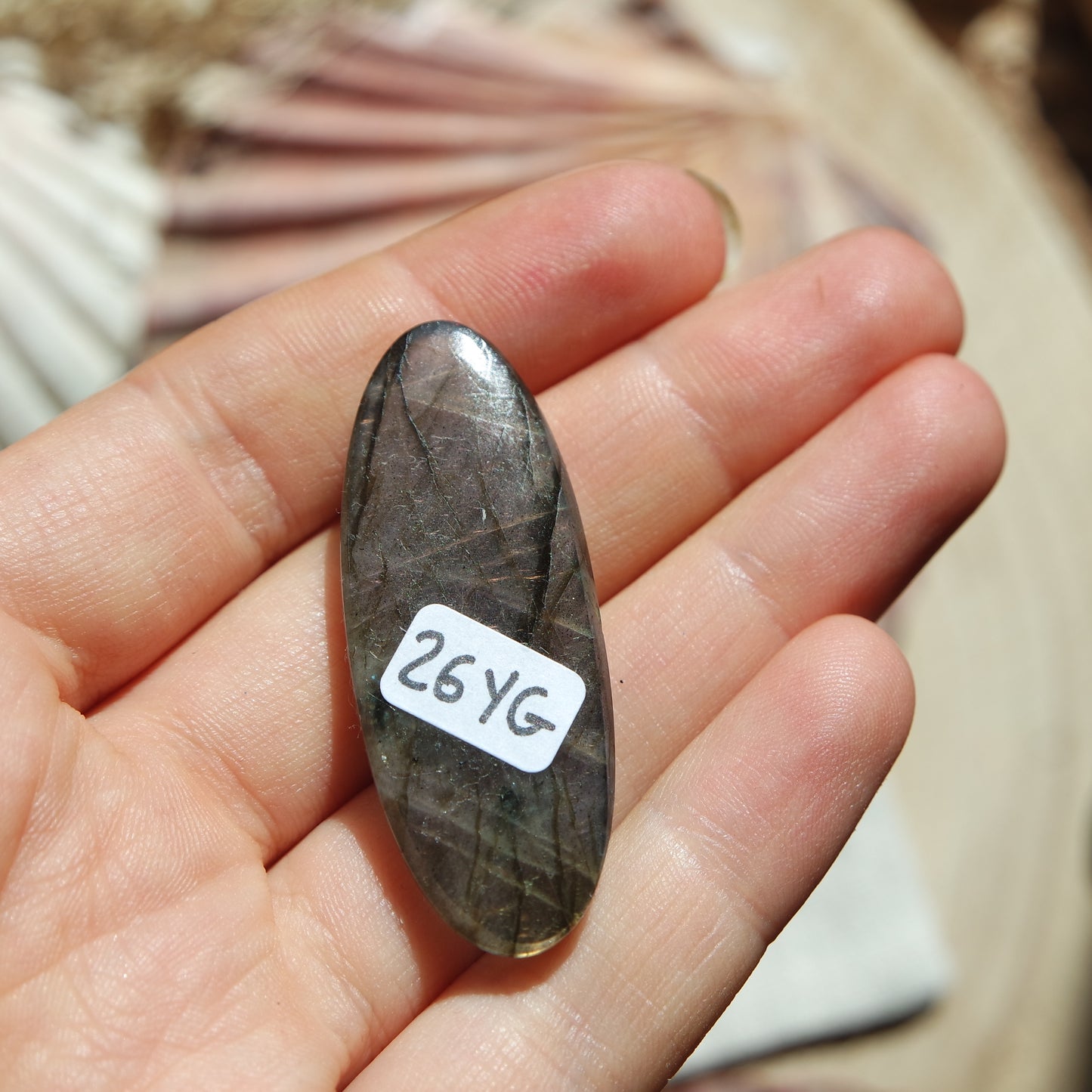 Lila Labradorit Cabochon ~ 26YG