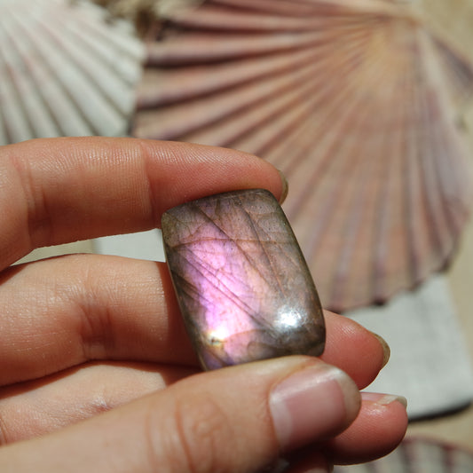 Lila Labradorit Cabochon ~ 26YH