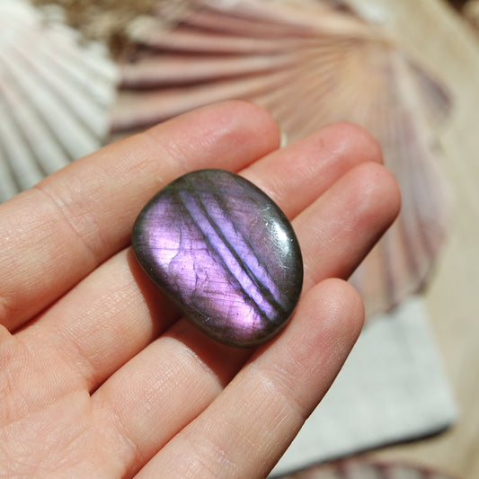 Lila Labradorit Cabochon ~ 26Yi