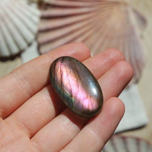 Lila Labradorit Cabochon ~ 26YK