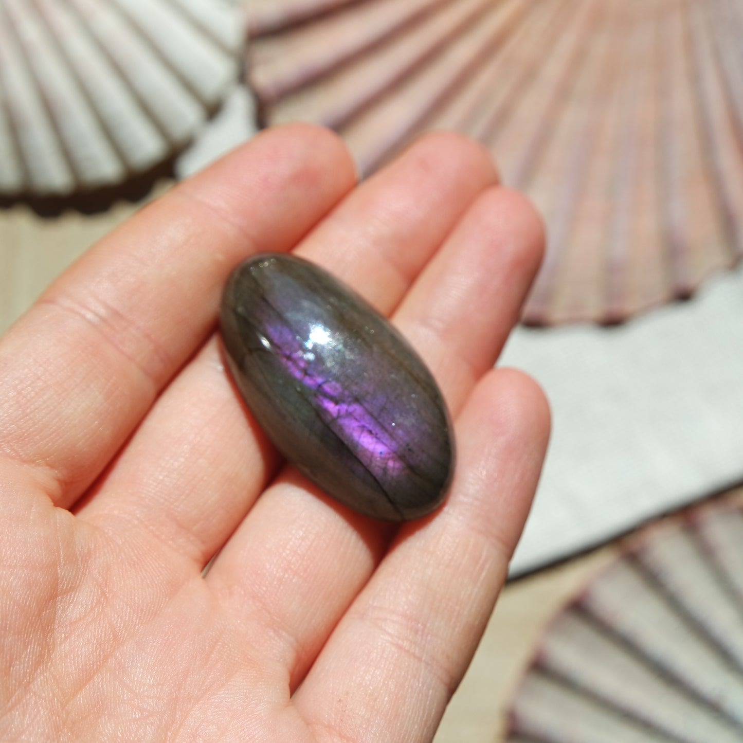 Lila Labradorit Cabochon ~ 28XA