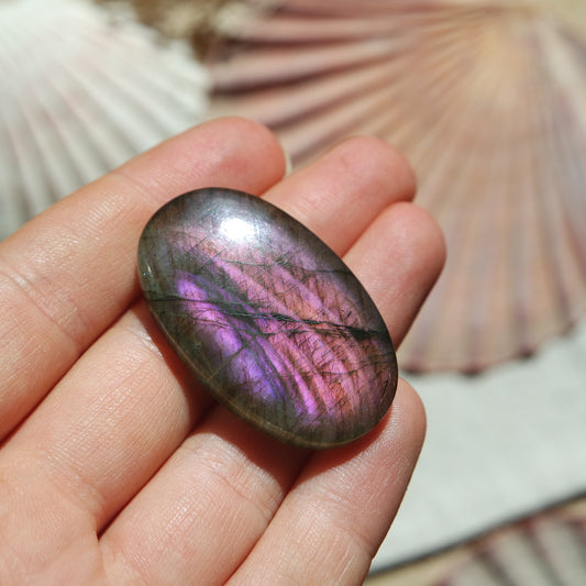 Lila Labradorit Cabochon ~ 28XF