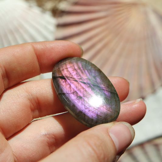 Lila Labradorit Cabochon ~ 28XF