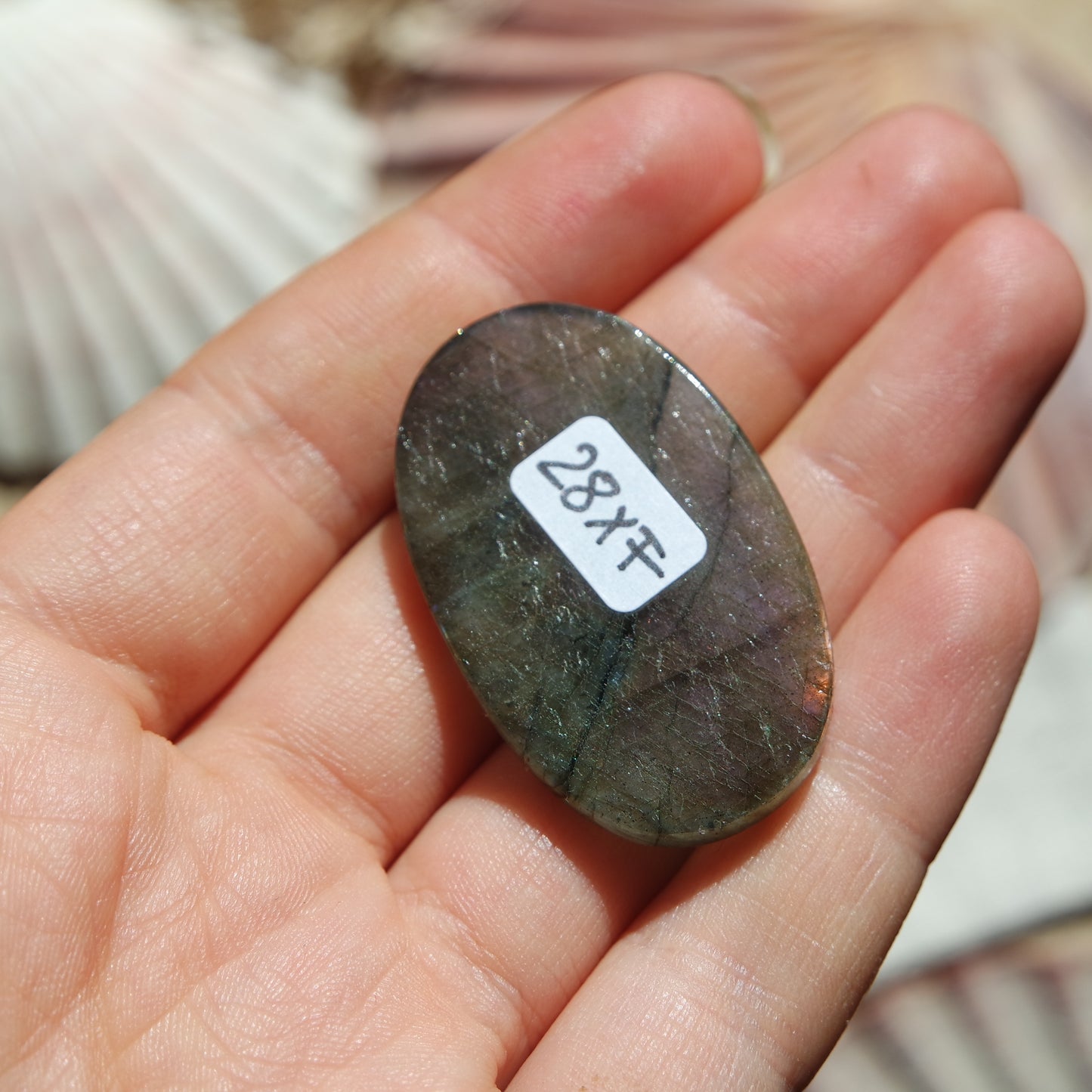 Lila Labradorit Cabochon ~ 28XF