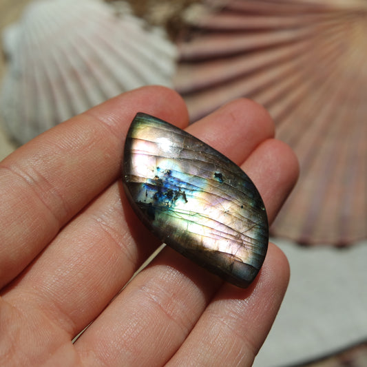 Lila Labradorit Cabochon ~ 28XG