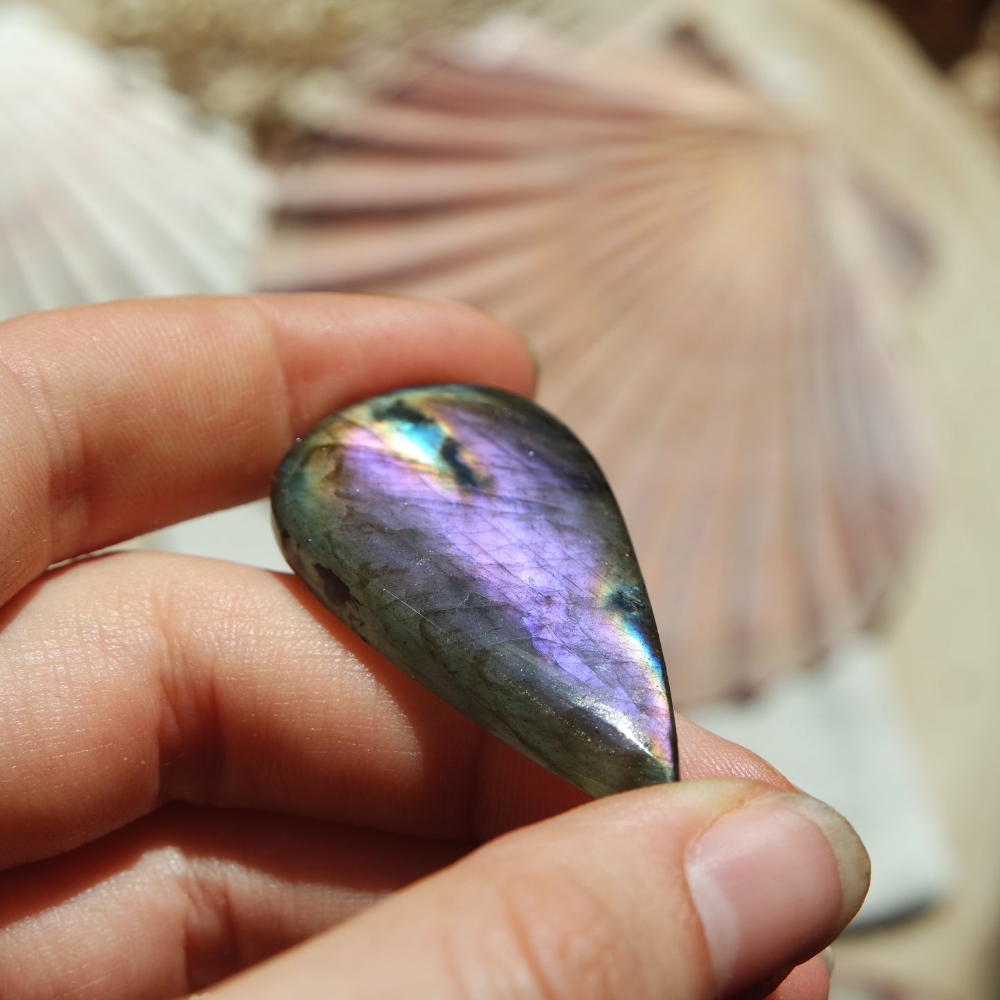 Lila Labradorit Cabochon ~ 28XK