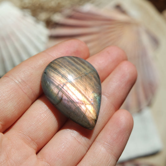 Lila Labradorit Cabochon ~ 28XL