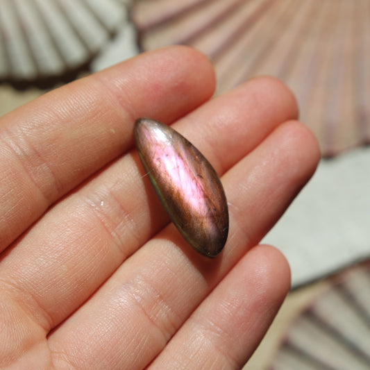 Lila Labradorit Cabochon ~ 6YB