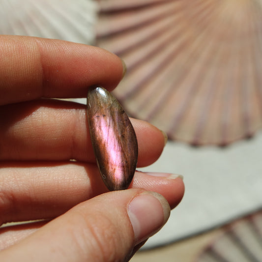 Lila Labradorit Cabochon ~ 6YB