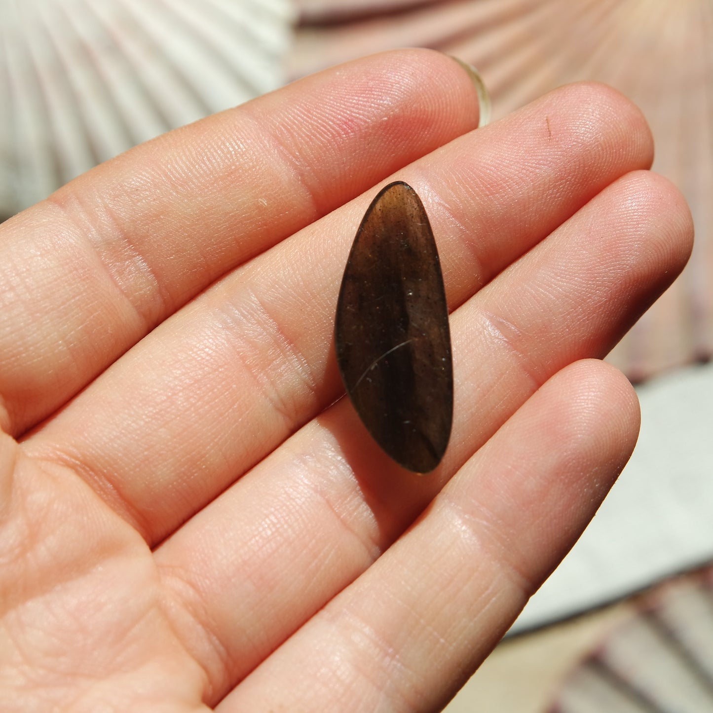 Lila Labradorit Cabochon ~ 6YB