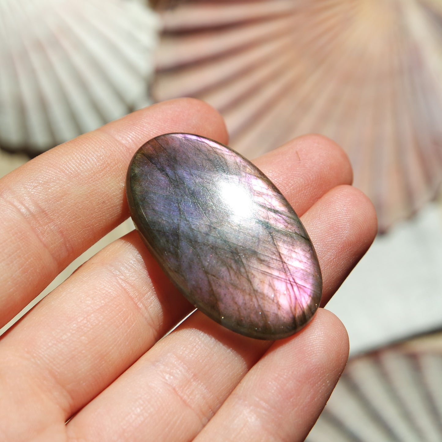 Lila Labradorit Cabochon ~ 24ZC
