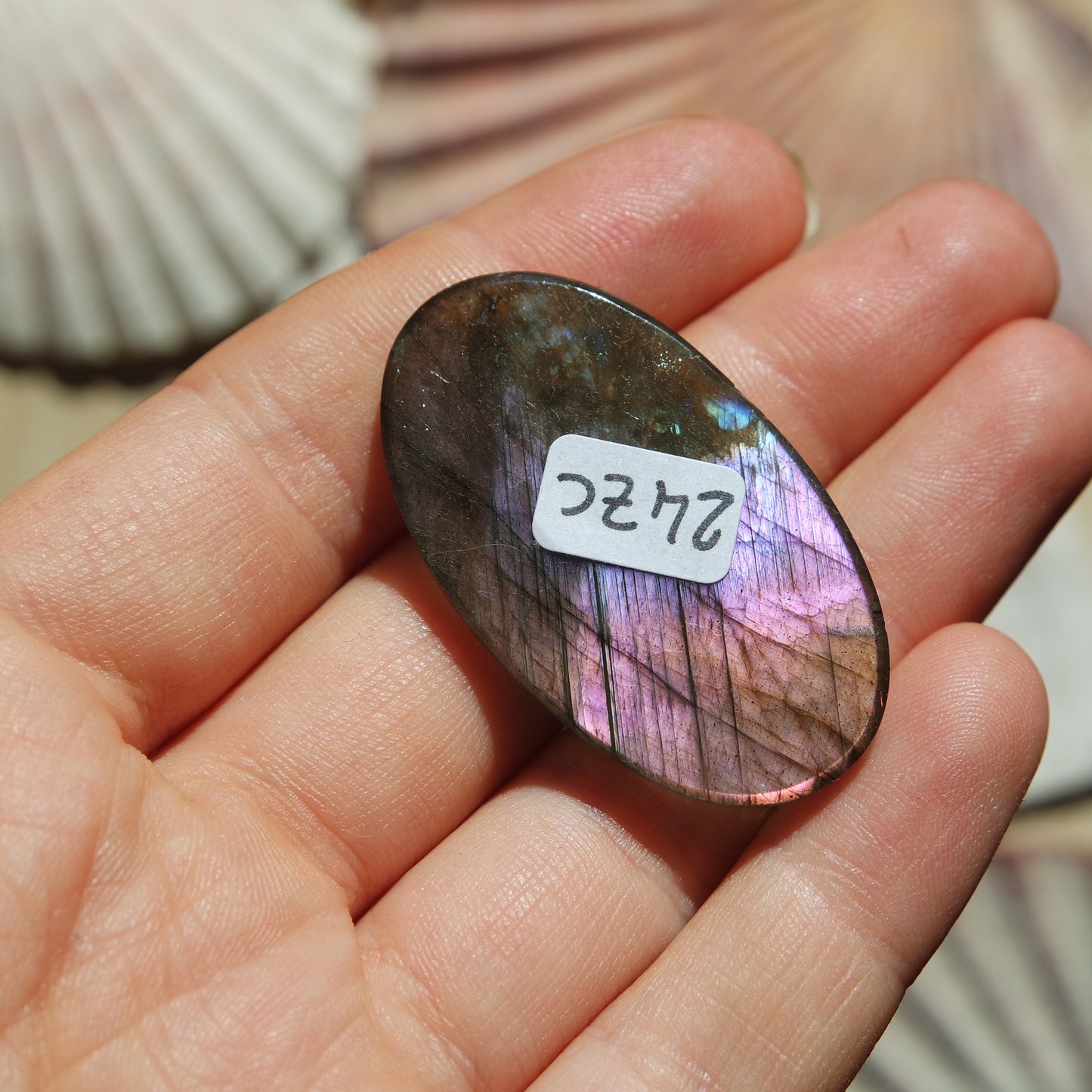 Lila Labradorit Cabochon ~ 24ZC